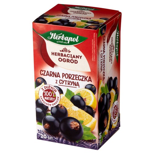 Herbaciany Ogród herbatka owocowa czarna porzeczka z cytryną Herbapol 750 ml