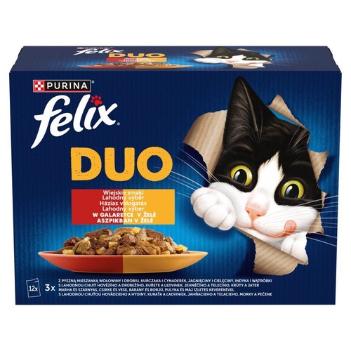 Kartonowe opakowanie karmy dla kotów Felix Duo, z wizerunkiem czarno-białego kota i miską karmy. Opis "Wiejskie smaki". Zawiera 12 saszetek.