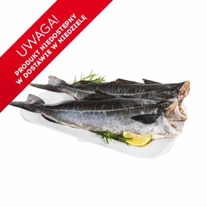 Ryba Dorsz czarny tusza Mój targ ryb na wagę ok. 1600 g