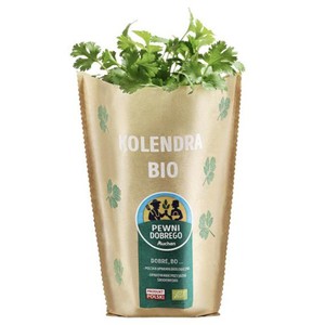 BIO Kolendra  Pewni Dobrego sztuka