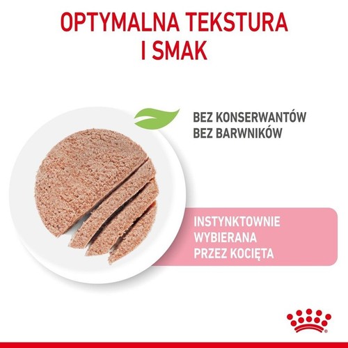 Karma dla kociąt w formie pasztetu na białym talerzu, pokrojona w plastry. Bez konserwantów i barwników.