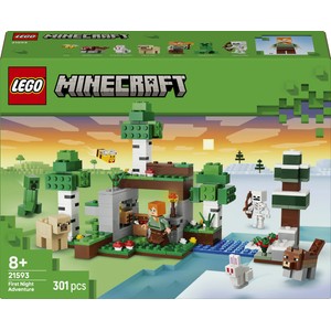 Minecraft Przetrwanie pierwszej nocy 21593 LEGO 1 sztuka