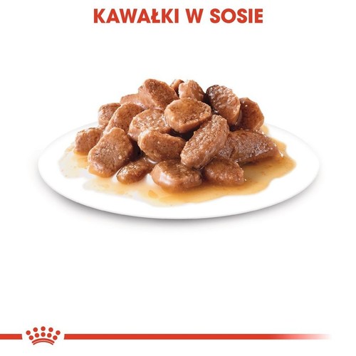 Brązowe kawałki karmy w sosie, podane na okrągłym, białym talerzu.