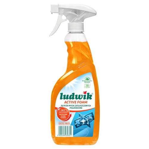 Płyn do mycia zatłuszczonych powierzchni Ludwik 600 ml