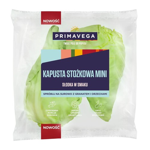 Kapusta stożkowa mini Primavega 2 sztuki