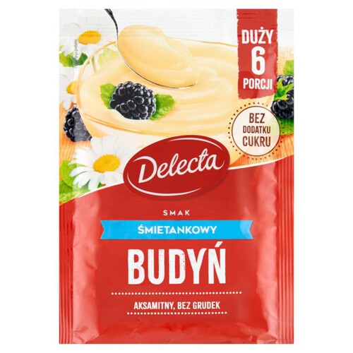 Budyń o smaku śmietankowym  Delecta 47 g