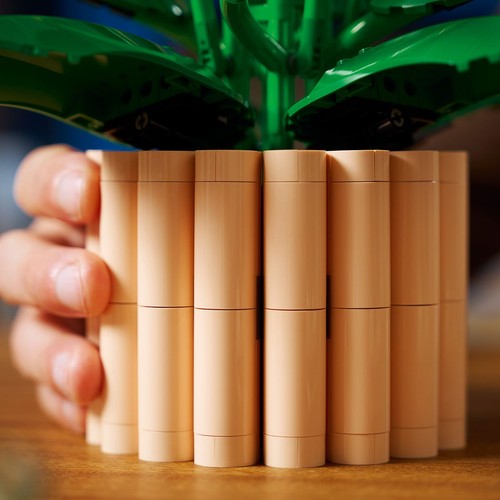 Botanicals Skrzydłokwiat, kwiatowa dekoracja 11504 LEGO  1 sztuka