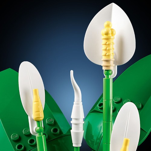 Botanicals Skrzydłokwiat, kwiatowa dekoracja 11504 LEGO  1 sztuka