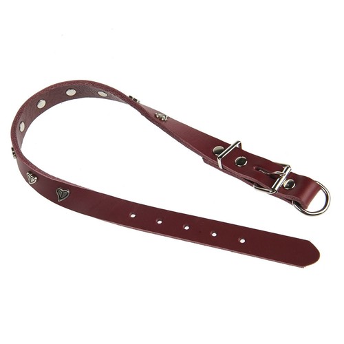 Skórzana obroża 40-48 cm Auchan 1 sztuka