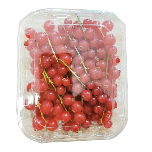 Czerwona porzeczka Owoce  Auchan 125 g