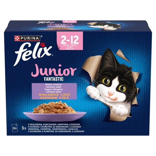 Niebieskie kartonowe opakowanie karmy Felix Junior Fantastic dla kociąt 2-12 miesięcy. Z grafiką kota wychylającego się z pudełka.