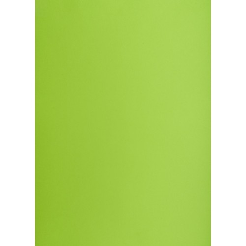 Karton kolorowy A3 160g 66 jasnozielony Oxford 1 sztuka
