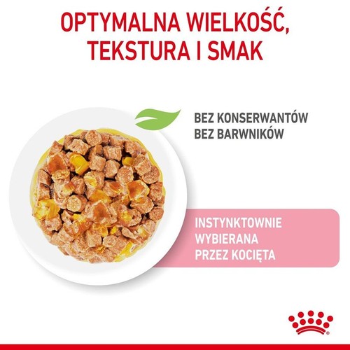 Royal Canin karma dla kociąt: kawałki w sosie na talerzu. Bez konserwantów i barwników. Optymalna tekstura i smak.