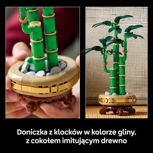 Botanicals Dracena sandera 10344 LEGO 1 sztuka