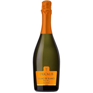 Wino włoskie musujące białe półwytrawne Glera Chadonnay alk. 11,5% obj.  Ducalis Veneto 750 ml