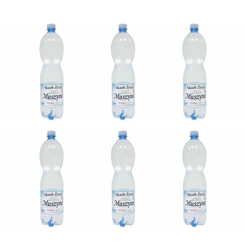 Woda lekko gazowana Skarb Życia Muszyna 6 x 1,5 l
