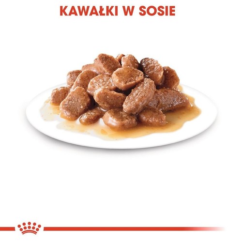 Brązowe kawałki mięsa w gęstym sosie, podane na okrągłym, białym talerzu.