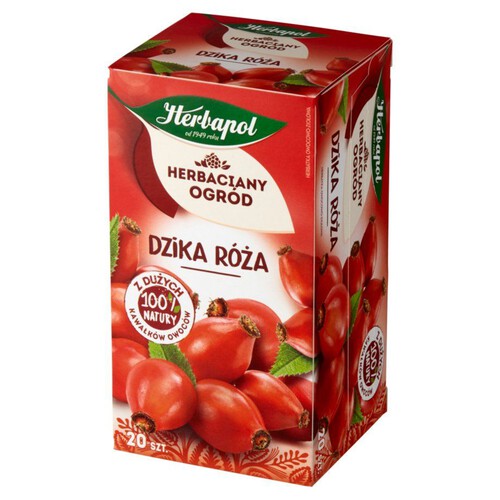 Herbaciany Ogród herbatka owocowo ziołowa dzika róża Herbapol 750 ml