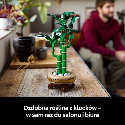 Botanicals Dracena sandera 10344 LEGO 1 sztuka