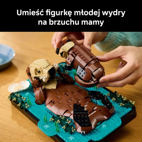 Zestaw konstrukcyjny Ideas Pływające wydry 21366 LEGO 1 sztuka