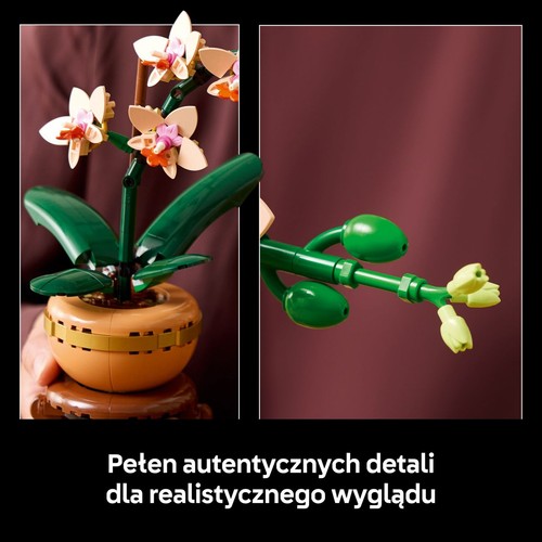 Botanicals mała Orchidea  LEGO 1 sztuka