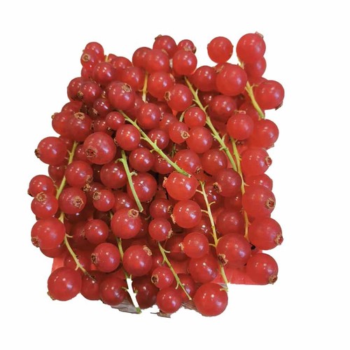 Czerwona porzeczka Owoce  Auchan 125 g