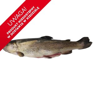 Ryba Pstrąg patroszony  Mój targ ryb na wagę ok. 500 g