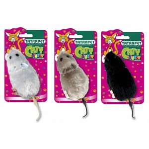 Caty  Tatrapet sztuka
