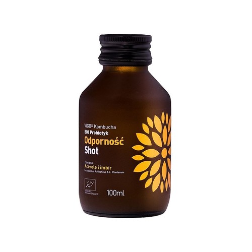 BIO Kombucha odporność schot Vigo 100 ml