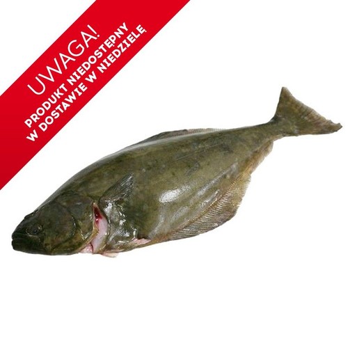 Surowa ryba, niepatroszona, z ciemną, łuskowatą skórą i widocznymi płetwami. Produkt leży na białym tle. W lewym górnym rogu znajduje się czerwony baner z informacją: "UWAGA! PRODUKT NIEDOSTĘPNY W DOSTAWIE W NIEDZIELĘ.".