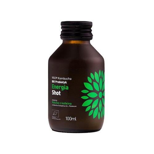 BIO Kombucha energia shot Vigo 100 ml