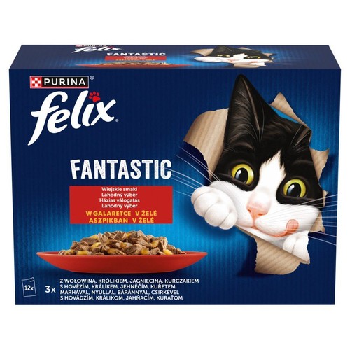 Niebieskie kartonowe opakowanie karmy dla kota Felix Fantastic. Widoczny kot Felix i informacja o 12 saszetkach.