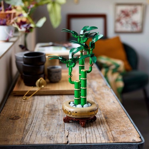 Botanicals Dracena sandera 10344 LEGO 1 sztuka