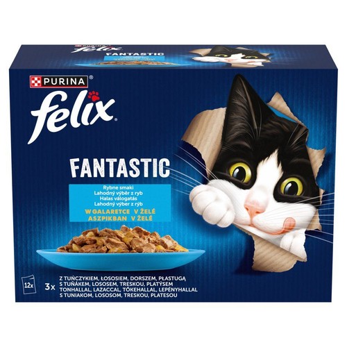 Kartonowe opakowanie karmy Purina Felix Fantastic. Na niebieskim tle kot wychylający się z rozerwanego pudełka. 12 saszetek rybnych smaków w galaretce.