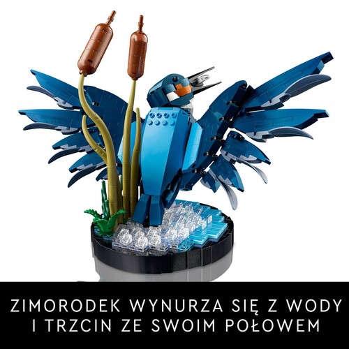 Icons Zimorodek 10331 LEGO 1 sztuka