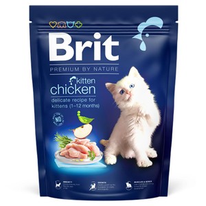 Karma sucha dla kotów z kurczakiem Brit 300 g