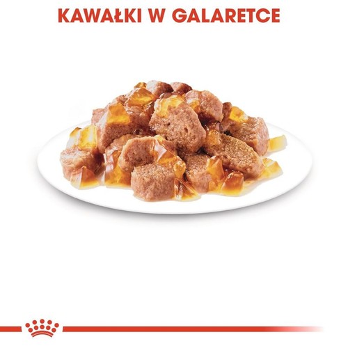 Kawałki karmy dla zwierząt w galaretce na białym talerzu. Brązowe kawałki mięsa z przezroczystą, bursztynową galaretką.