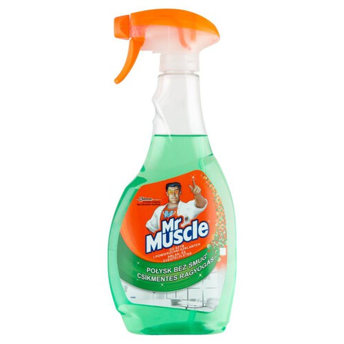 5w1 płyn do szyb i powierzchni szklanych Mr Muscle 500 ml