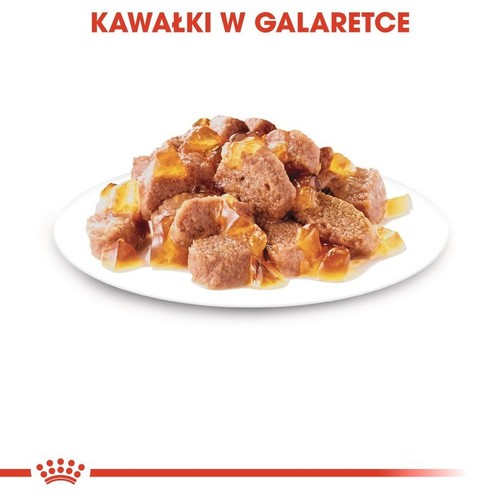 Posiłek dla kotów. Brązowe kawałki w bursztynowej galaretce, serwowane na białym talerzu.