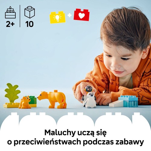 DUPLO® Rodziny dzikich zwierząt: pingwiny i lwy 10442 LEGO 1 sztuka